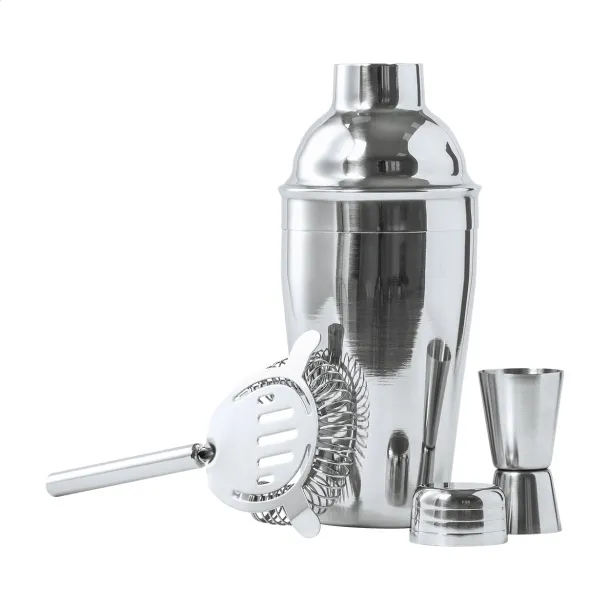 Coleman cocktail set Silver