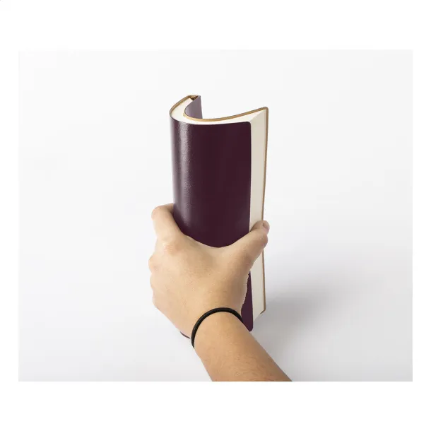Sopuk notes Klaret