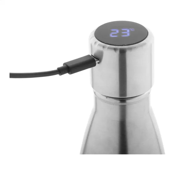 Reverest insluated bottle Silver