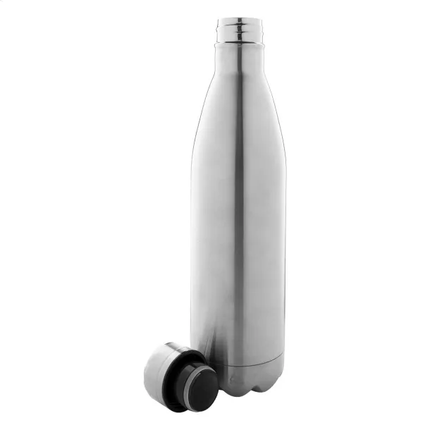 Rinsul insulated bottle Silver