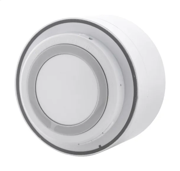 Ramesh wireless speaker Silver