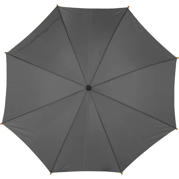  Automatic umbrella A69F99