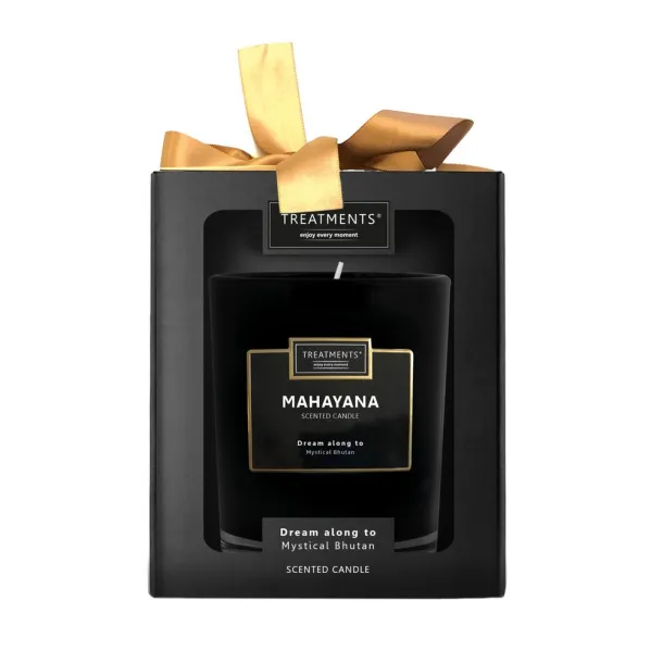  Scented candle TREATMENTS 45533C