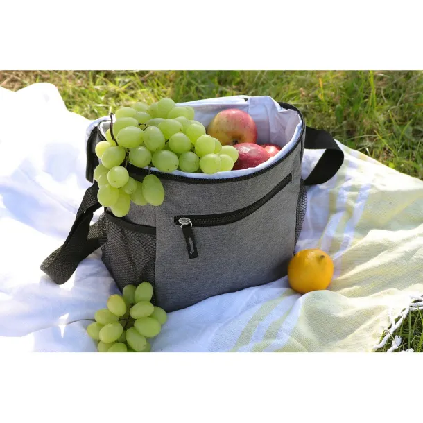  Cooler bag A69F99