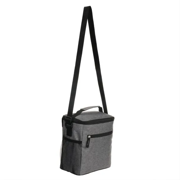  Cooler bag A69F99