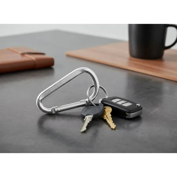  Keyring, carabiner silver