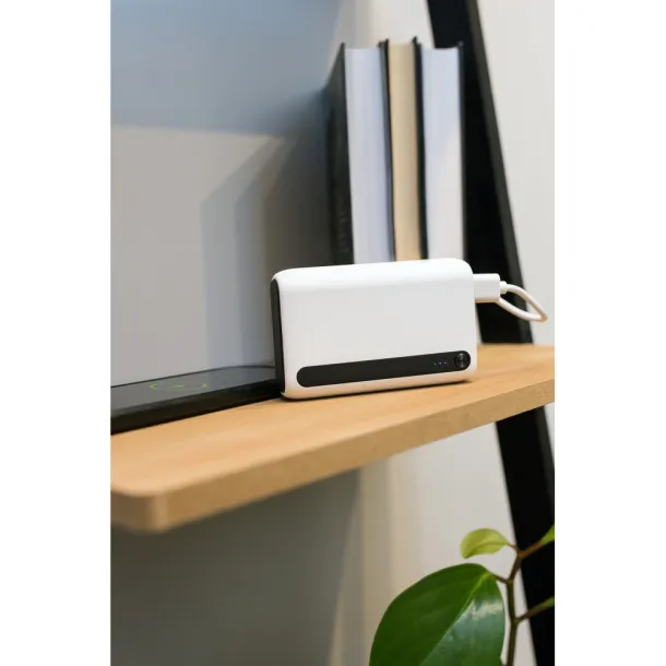 Dashonte Power bank 10000 mAh 45533C