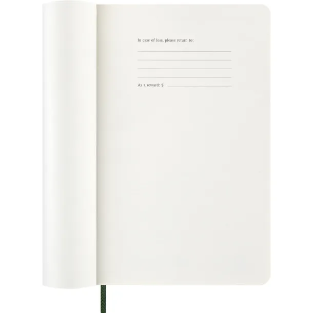  MOLESKINE diary khaki