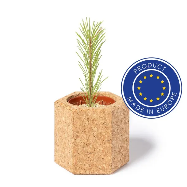  Cork pot, pine seeds Neutral