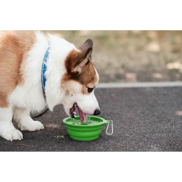 Platora Foldable dog bowl light green