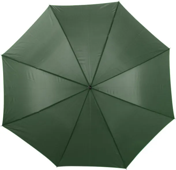  Polyester (190T) umbrella Andy green