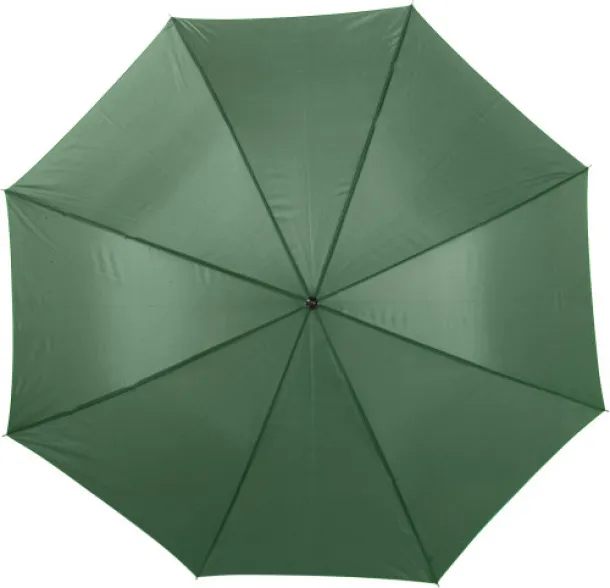  Polyester (190T) umbrella Andy green