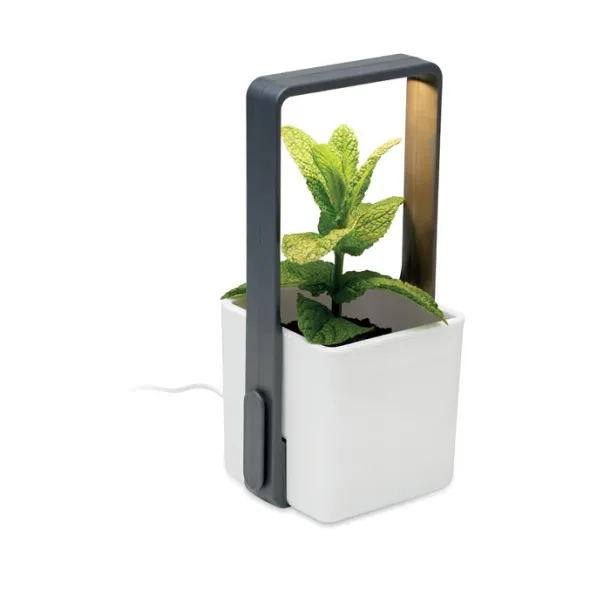 LUSHLET Indoor garden with LED light White