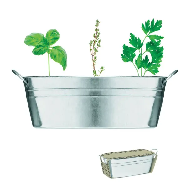 MIX SEEDS Zinc tub with 3 herbs seeds Matt Silver