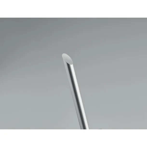 PENEVER Long lasting inkless pen Matt Silver