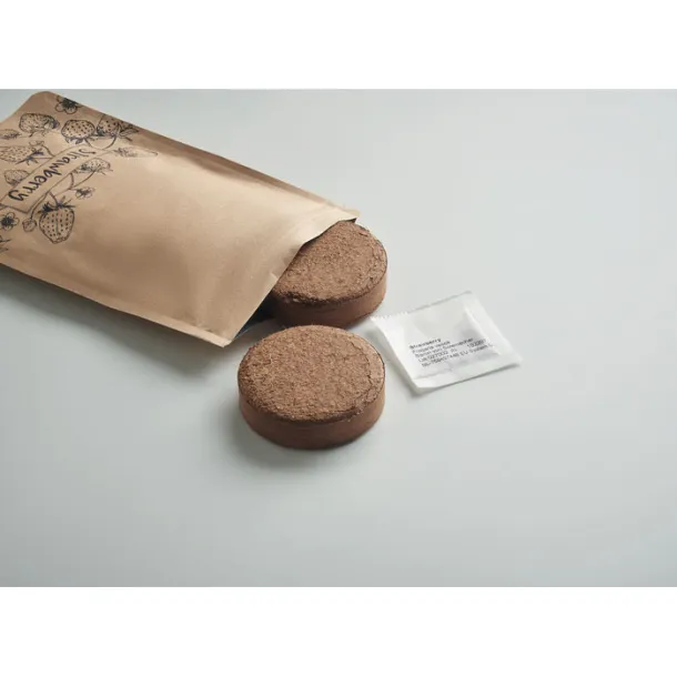 FRESA KIT Strawberry growing kit Beige