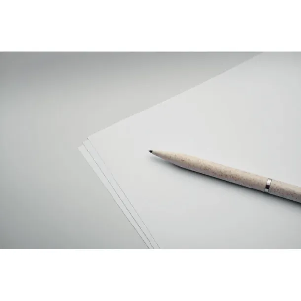 PEAT Wheat straw/ABS twist pen set Beige