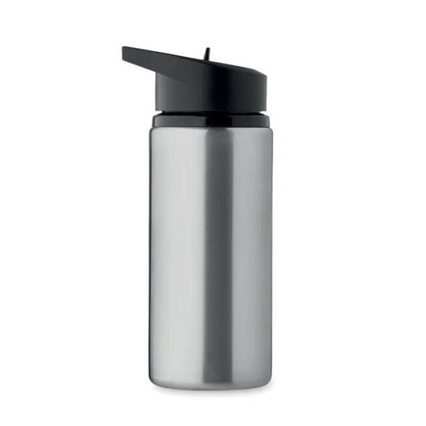 SPOT Single wall bottle 500 ml Matt Silver