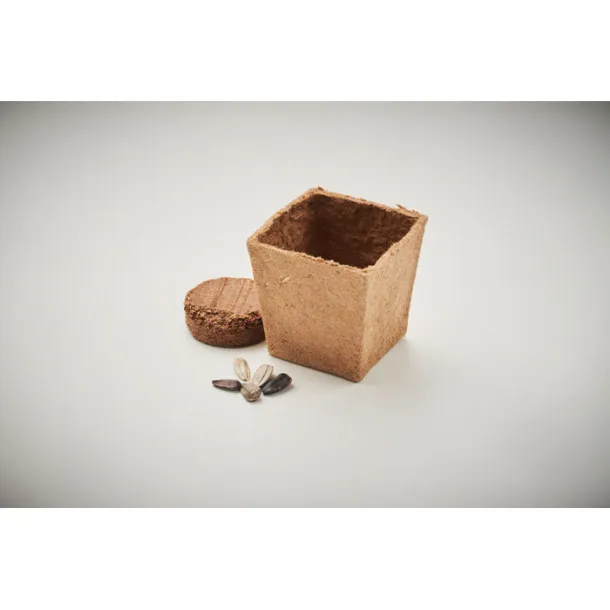 SUNFLOWER KIT set za uzgoj suncokreta Bež