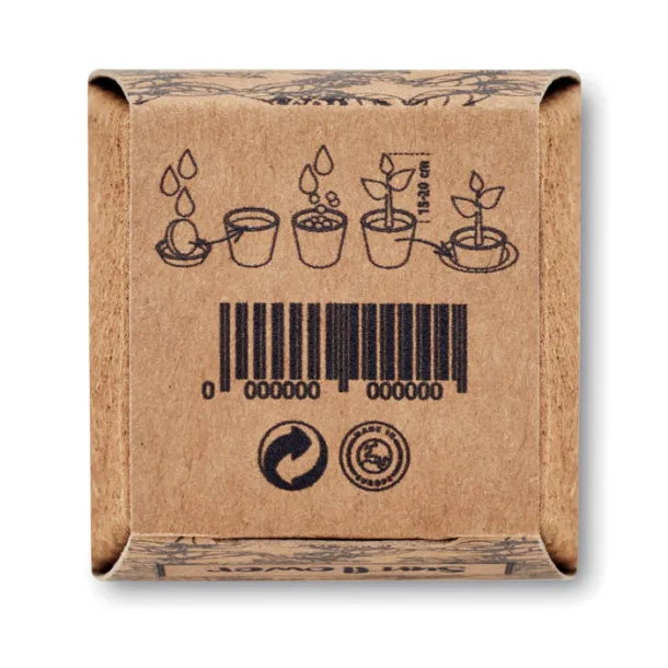 SUNFLOWER KIT set za uzgoj suncokreta Bež