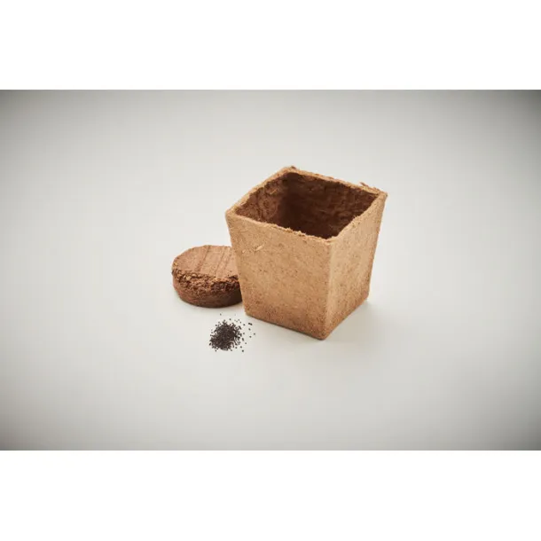 MINT KIT Mint seeds growing kit Beige