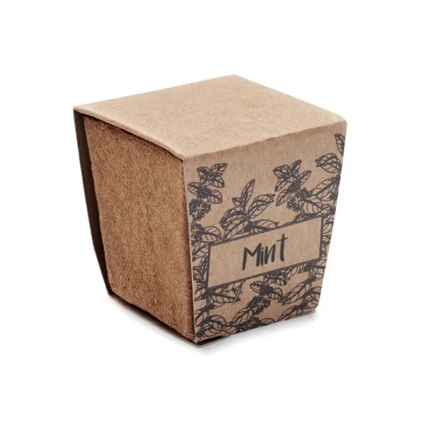 MINT KIT set za uzgoj mente Bež