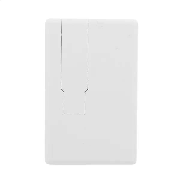 Rabax RABS USB flash drive White