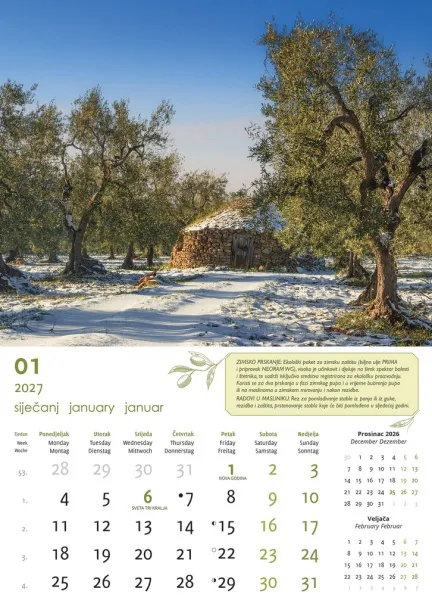  "MASLINE" color calendar Color