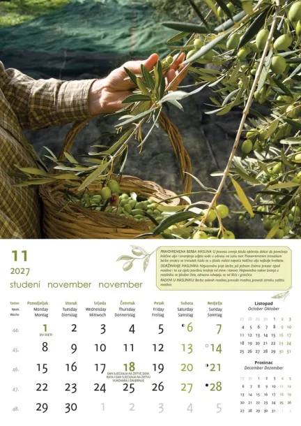  "MASLINE" color calendar Color