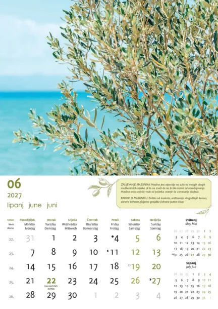  "MASLINE" color calendar Color