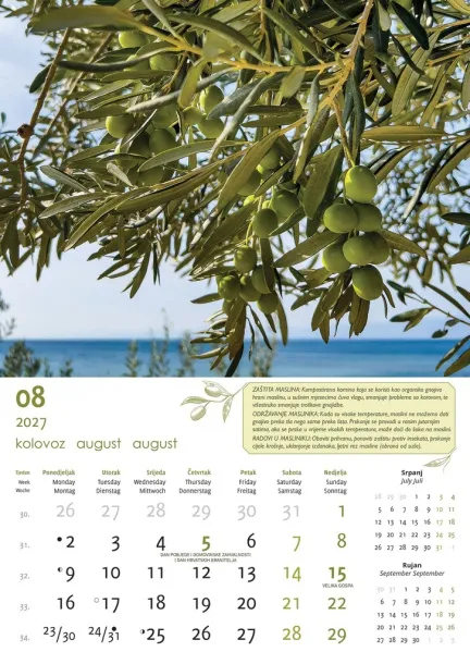  "MASLINE" color calendar Color