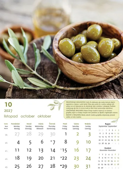  "MASLINE" color kalendar Color