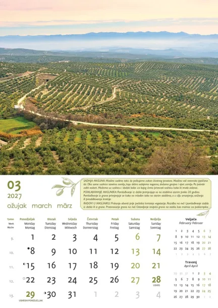  "MASLINE" color kalendar Color