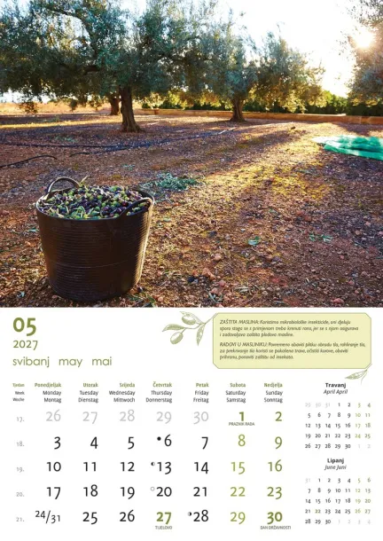  "MASLINE" color calendar Color