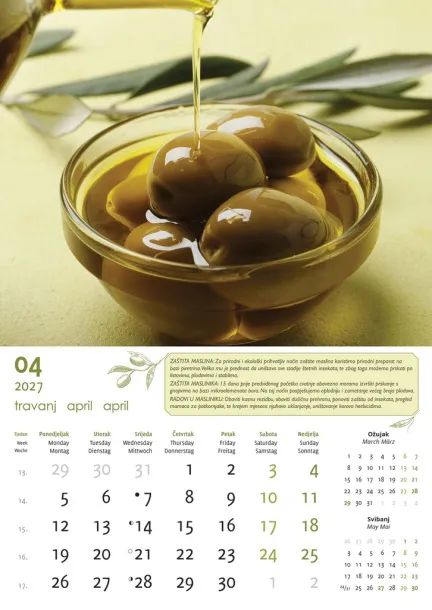  "MASLINE" color kalendar Color