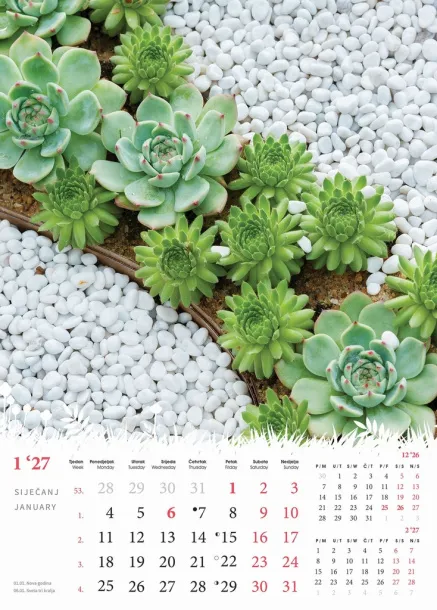 "CVIJEĆE" color kalendar Color