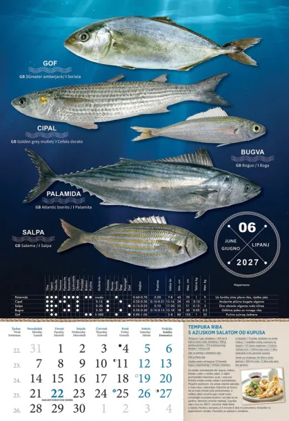  "S RIBARNICE" color calendar Color