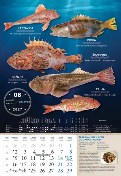  "S RIBARNICE" color calendar Color