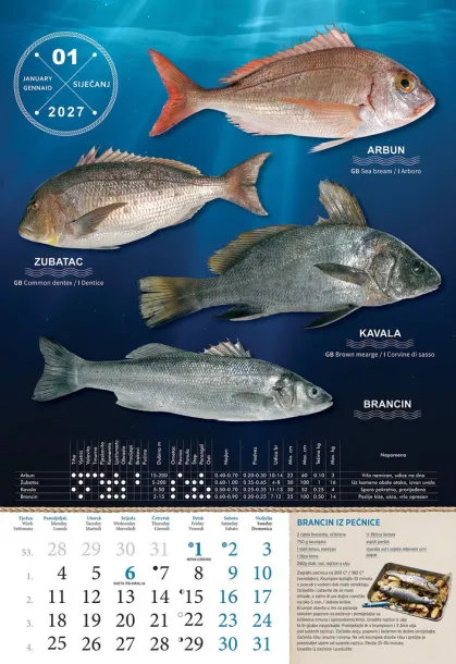  "S RIBARNICE" color calendar Color