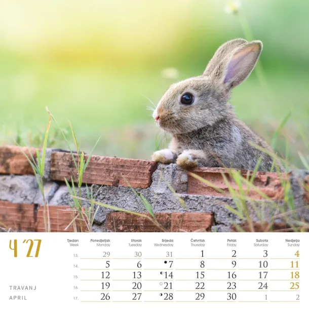  "SEOSKA IDILA" color calendar Color