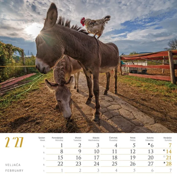  "SEOSKA IDILA" color calendar Color