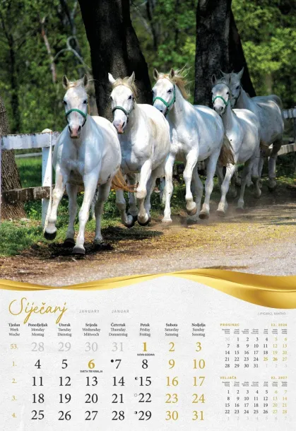 "MOJA ZLATNA SLAVONIJA i BARANJA"  color kalendar Color