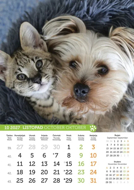  "PSI i MAČKE" color calendar Color