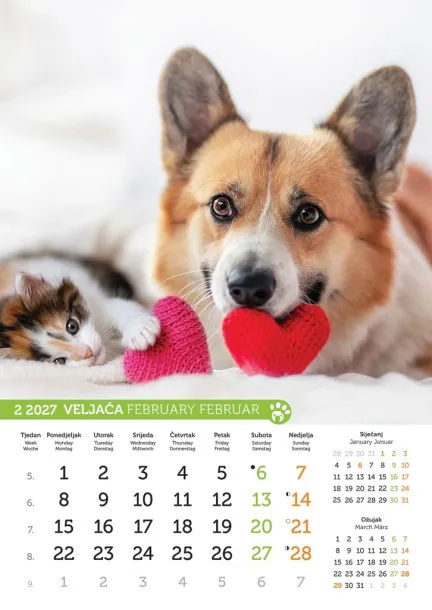  "PSI i MAČKE" color kalendar Color