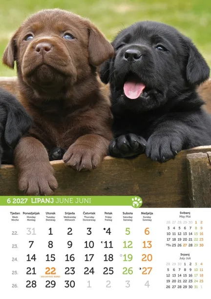  "PSI i MAČKE" color kalendar Color