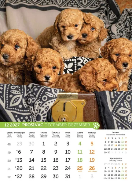  "PSI i MAČKE" color kalendar Color