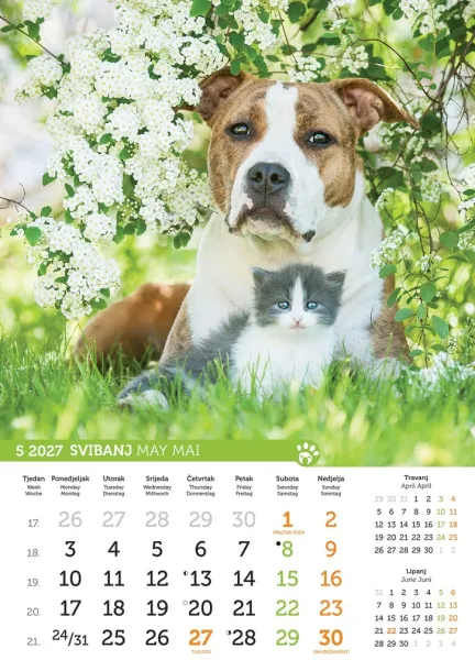  "PSI i MAČKE" color calendar Color