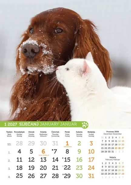  "PSI i MAČKE" color kalendar Color