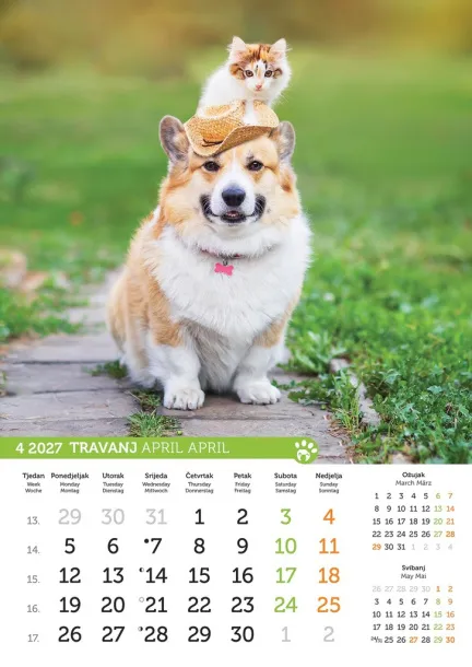  "PSI i MAČKE" color kalendar Color