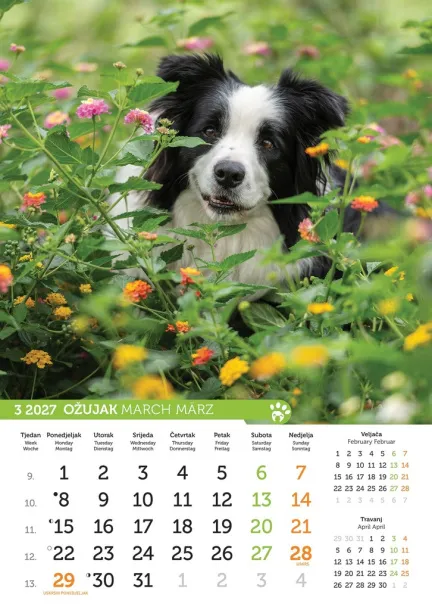  "PSI i MAČKE" color kalendar Color